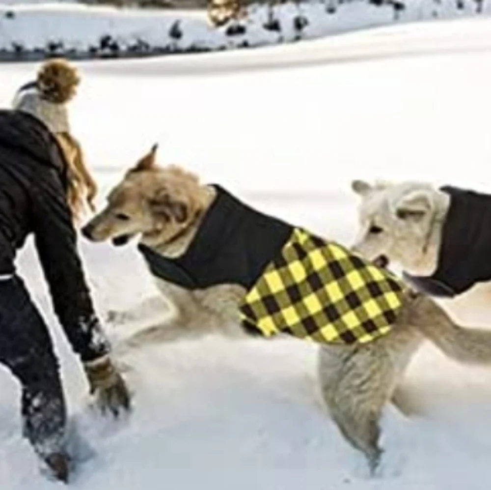 WKLHGTY Winter Yellow Plaid Dog Jacket Reflective Size L